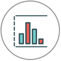 Report Icon